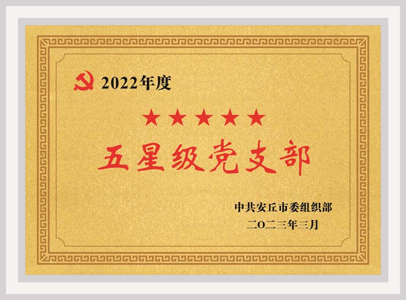 安丘公司五星党支部