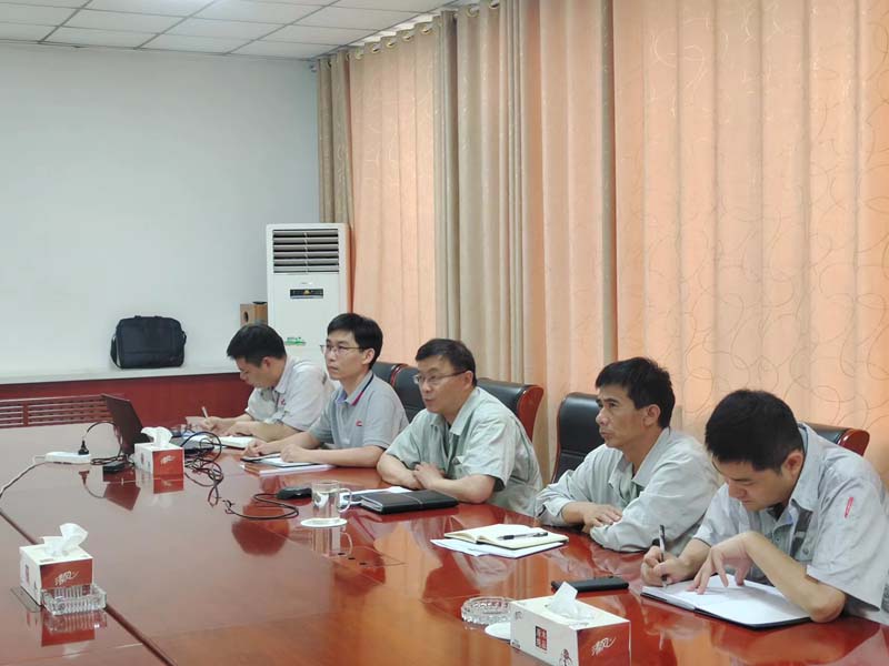 鲁南运营区召开工艺脱硝专题会