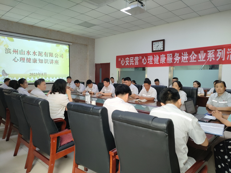 心理健康服务 (2)